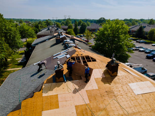 Best Storm Damage Roof Repair  in New Carrollton, MD