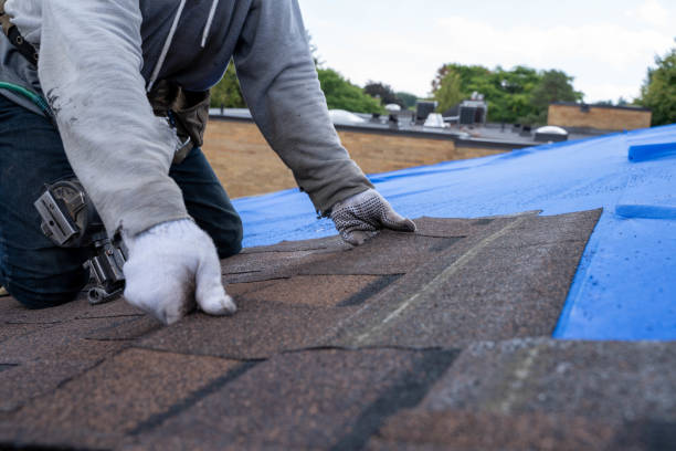 Best Roof Waterproofing Services  in New Carrollton, MD
